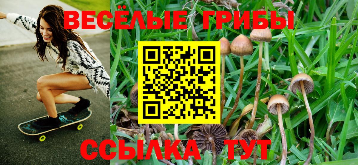 Галлюциногенные грибы Magic Shrooms  Псилоцибиновые грибы MAGIC MUSHROOMS  Вход с VPN  Великие Луки 